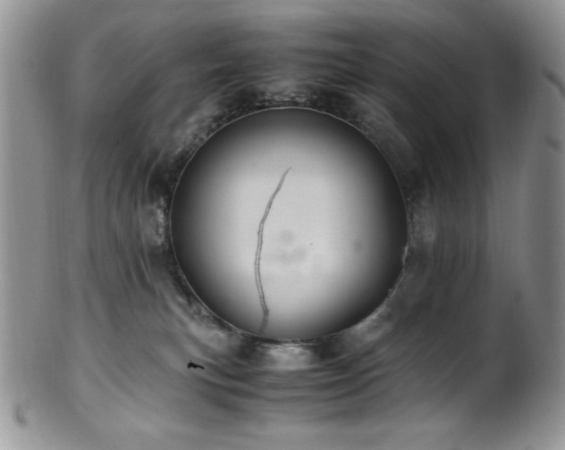 X0000100880183200806201254