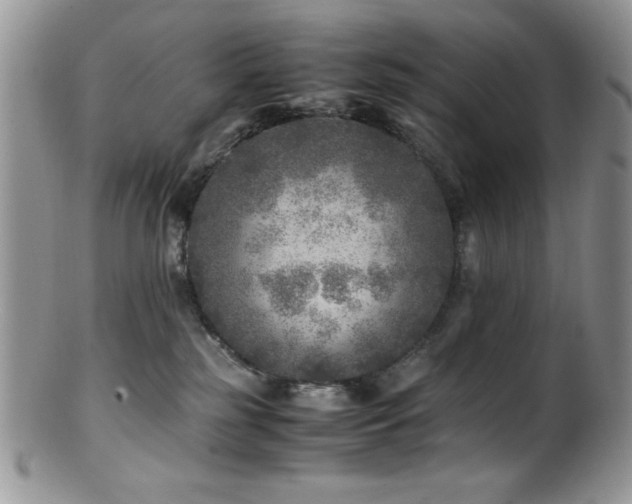 X0000100880185200806201254