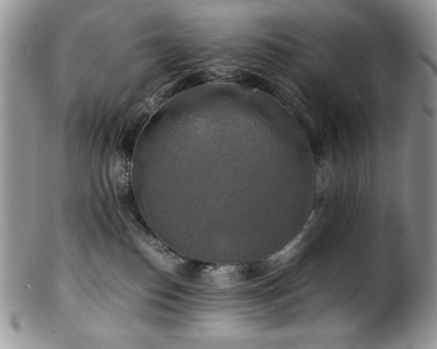 X0000100880186200806201254