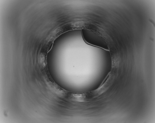 X0000100880187200806201254