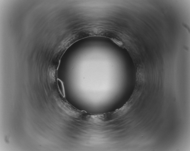 X0000100880188200806201254