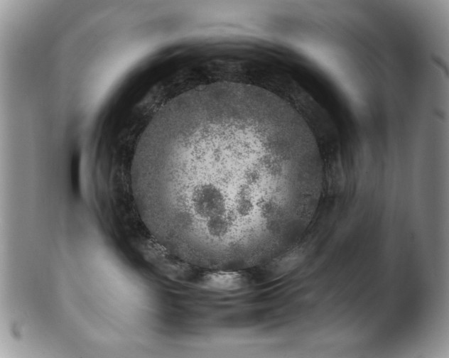 X0000100880189200806201254