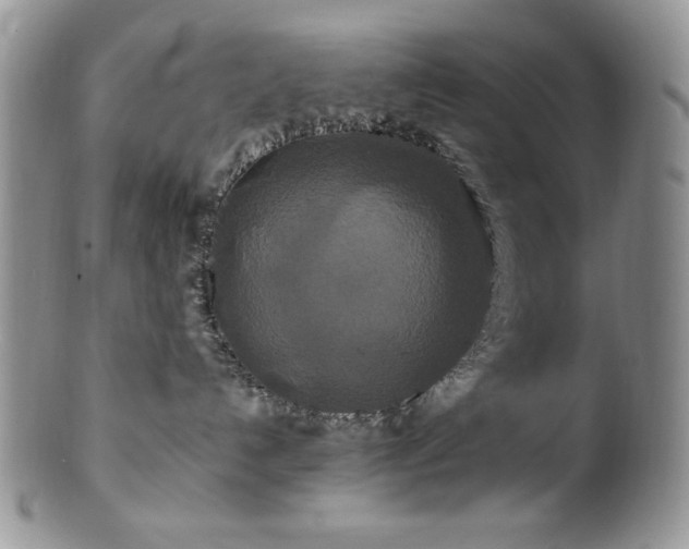 X0000100880192200806201254