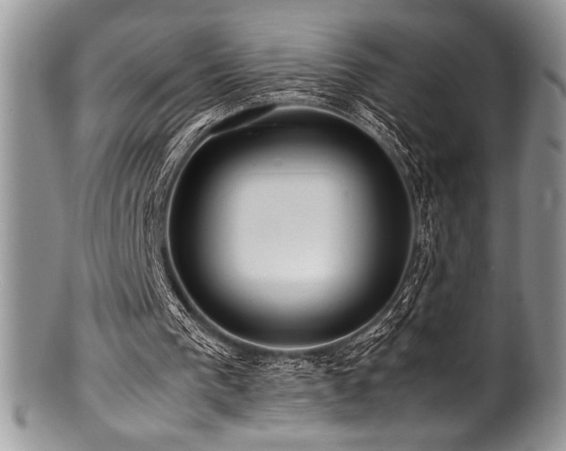 X0000100880193200806201254