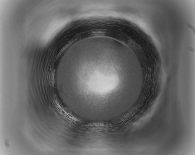 X0000100880194200806201254