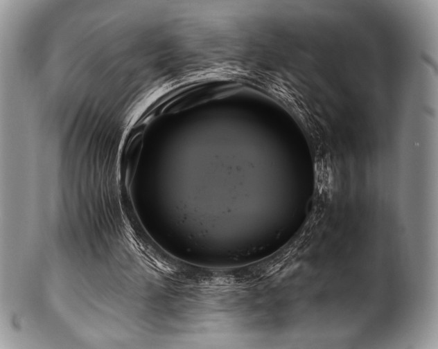 X0000100880196200806201254