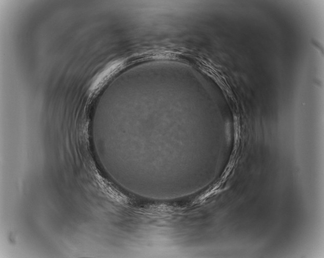 X0000100880197200806201254