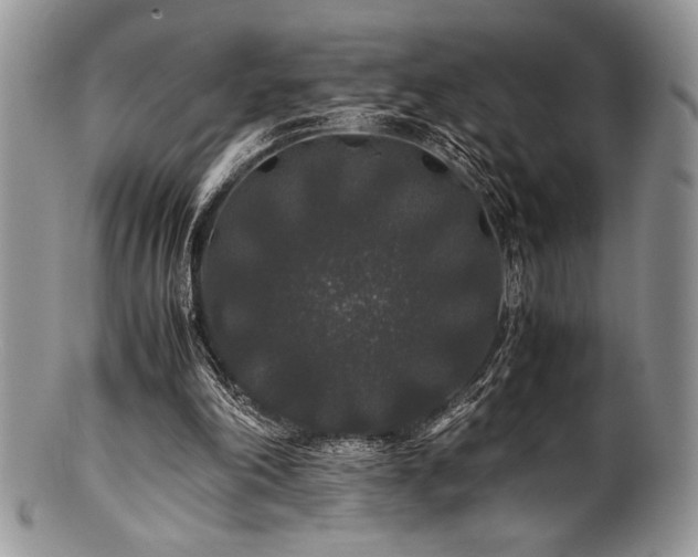 X0000100880198200806201254