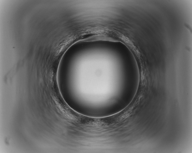 X0000100880201200806201254