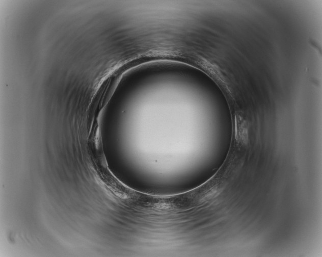 X0000100880204200806201254