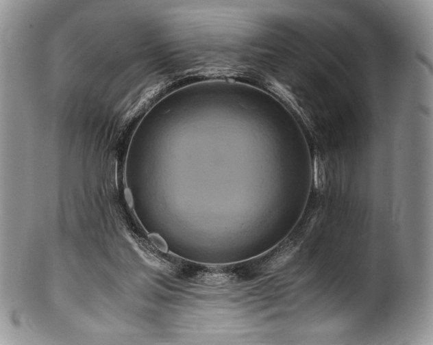 X0000100880205200806201254