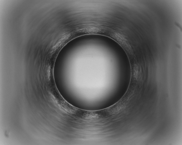 X0000100880206200806201254