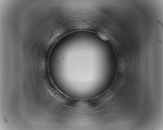 X0000100880207200806201253