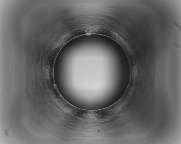 X0000100880209200806201253