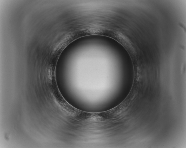 X0000100880210200806201253