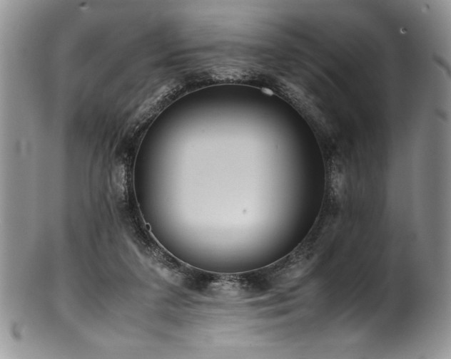 X0000100880211200806201253