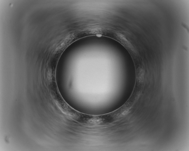 X0000100880213200806201253