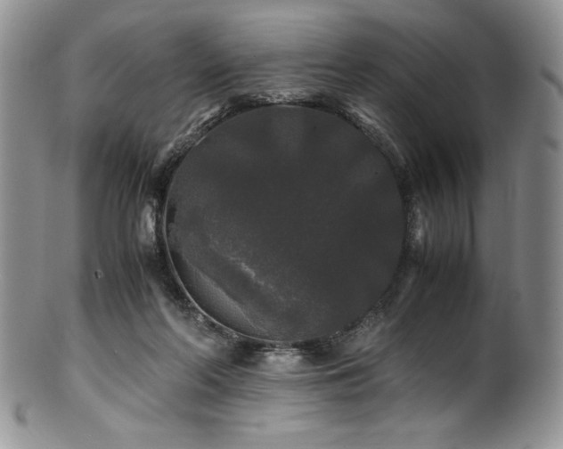 X0000100880214200806201253