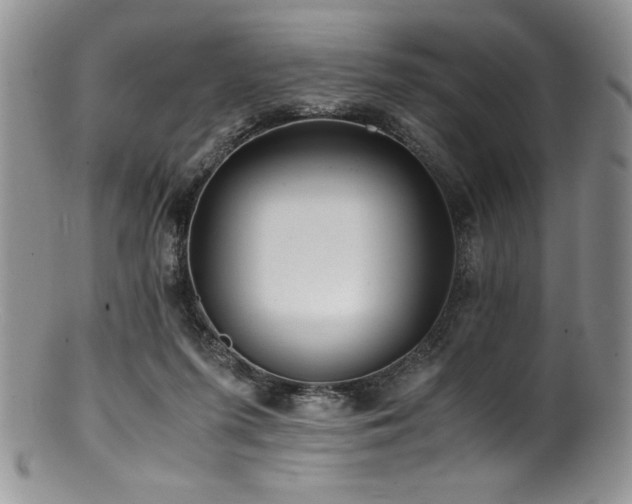 X0000100880215200806201253