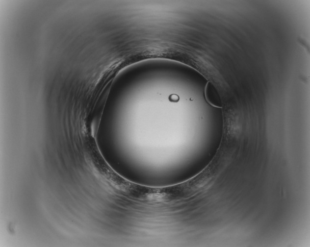 X0000100880216200806201253