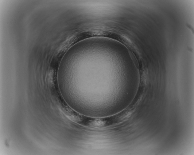 X0000100880217200806201253