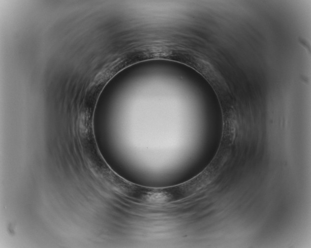 X0000100880218200806201253