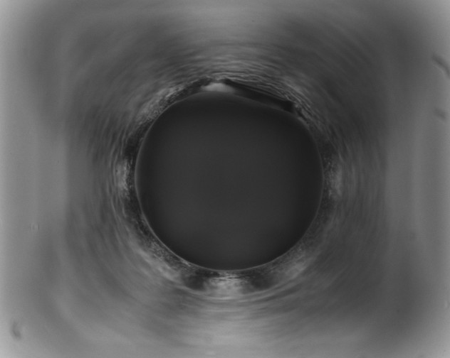 X0000100880219200806201253