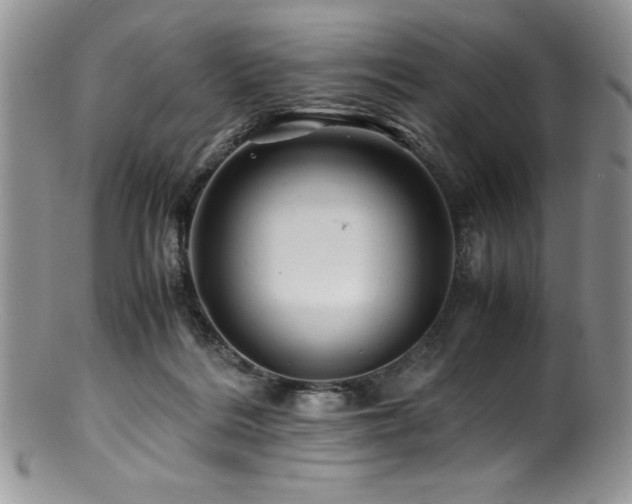 X0000100880220200806201253