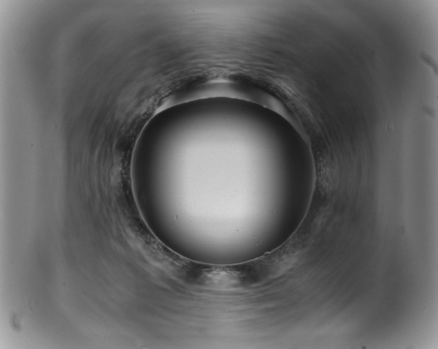 X0000100880221200806201253