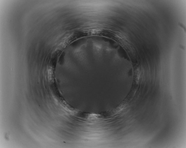 X0000100880222200806201253