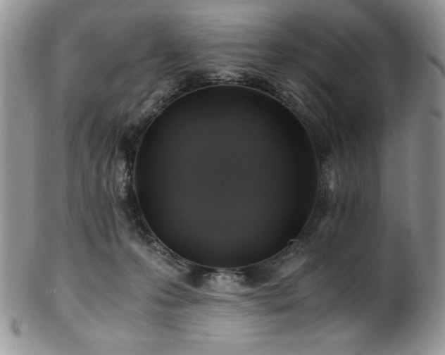 X0000100880223200806201253