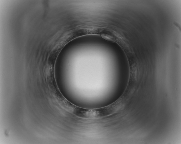 X0000100880225200806201253