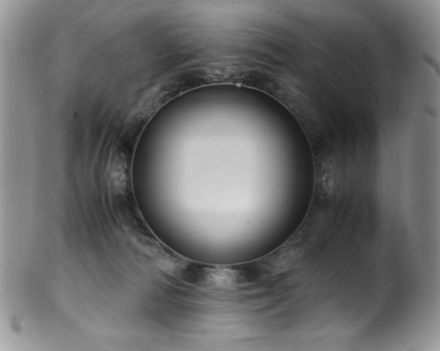 X0000100880226200806201253