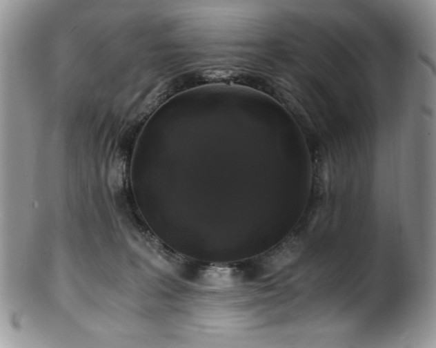 X0000100880227200806201253