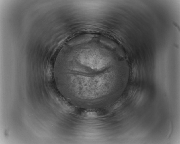 X0000100880228200806201253