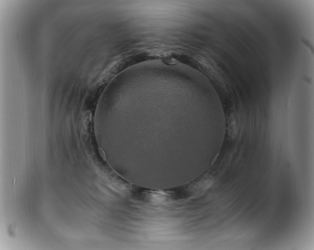 X0000100880229200806201253