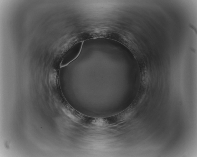 X0000100880231200806201253