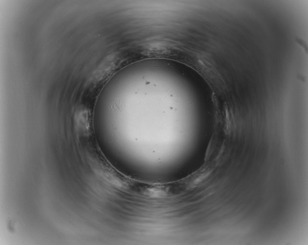 X0000100880232200806201253