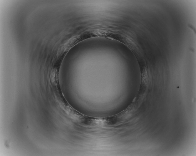 X0000100880233200806201253