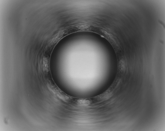 X0000100880234200806201253