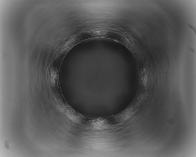 X0000100880235200806201253