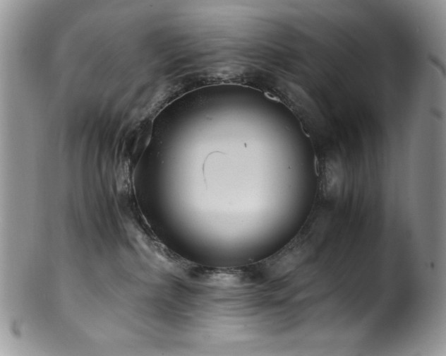 X0000100880236200806201253