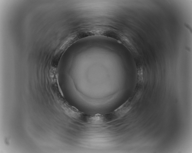 X0000100880237200806201253