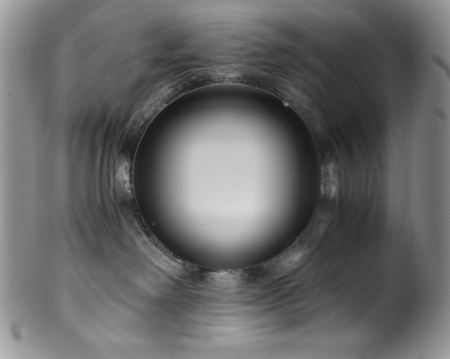 X0000100880238200806201253