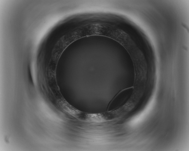 X0000100880239200806201253