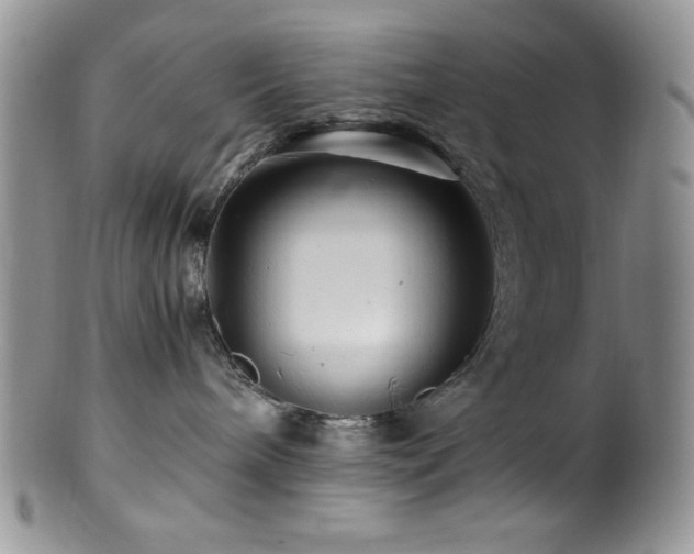 X0000100880240200806201253