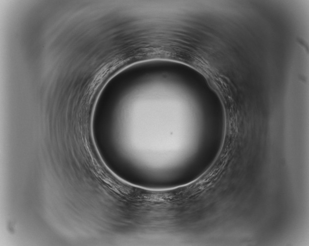 X0000100880241200806201252