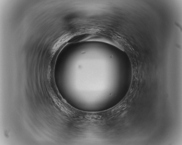 X0000100880242200806201252