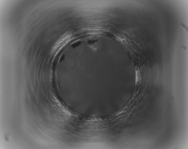 X0000100880243200806201252