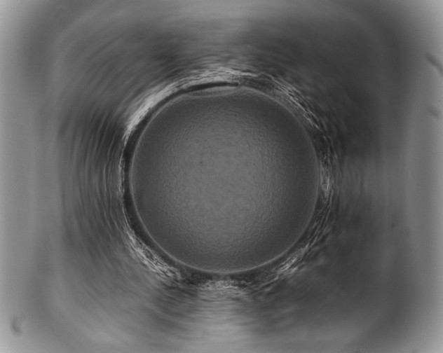 X0000100880244200806201252